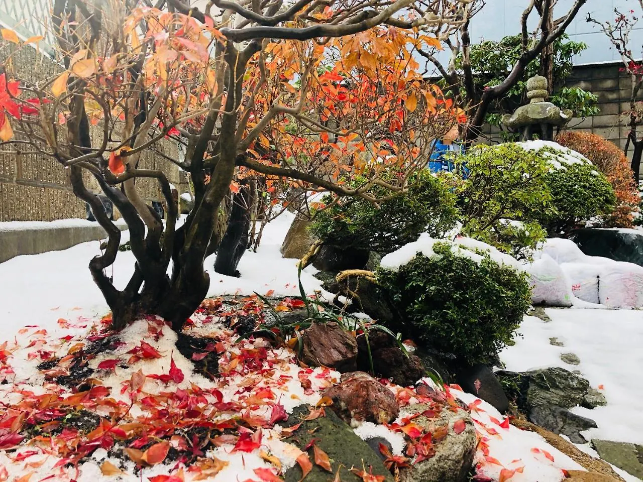 **  Otarunishikien Bed & Breakfast Japonya